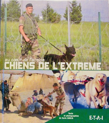 CHIENS