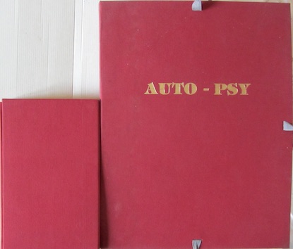 AUTO-SPY